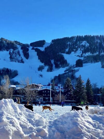 Wagner Park - Aspen, CO