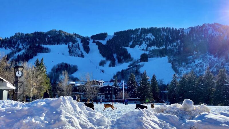 Wagner Park - Aspen, CO