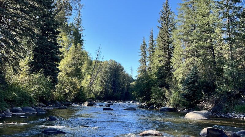 Wilton Jaffee Sr. Park - Aspen, CO