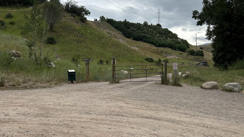 Wilton Jaffee Sr. Park - Aspen, CO