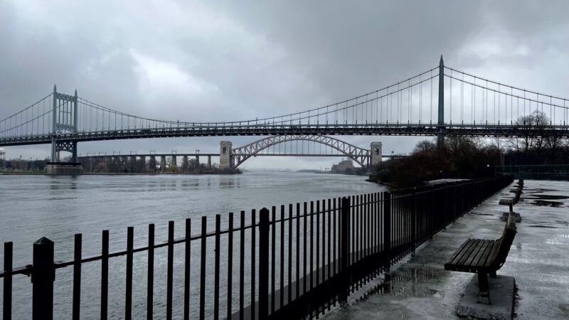 Bugsy's Dog Run - Astoria, NY