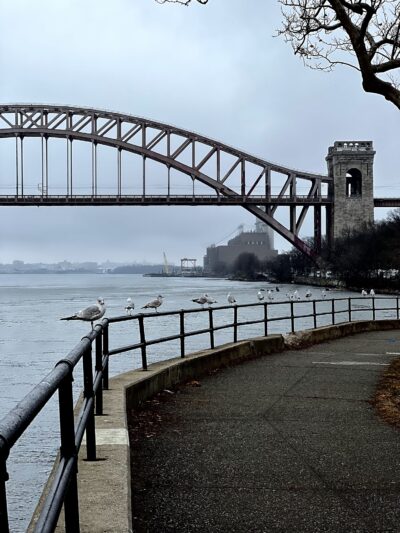 Bugsy's Dog Run - Astoria, NY
