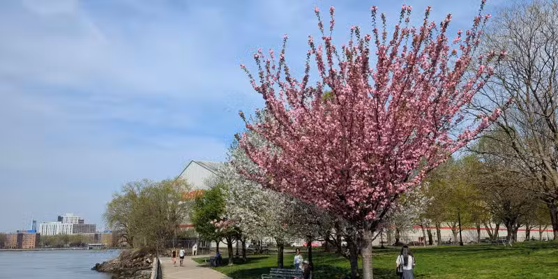 Rainey Park - Astoria, NY