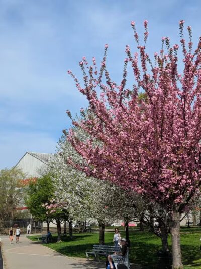 Rainey Park - Astoria, NY