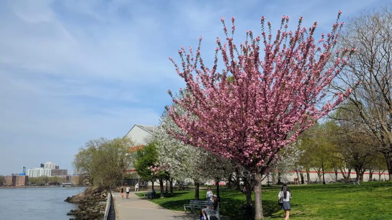 Rainey Park - Astoria, NY