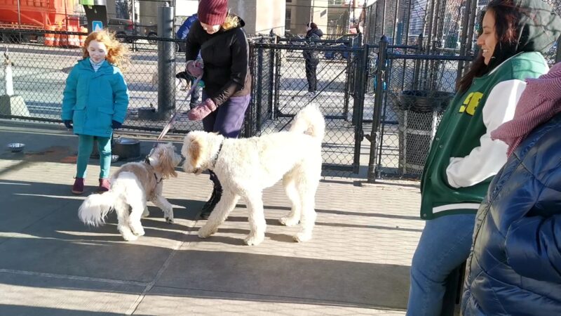 Triborough Bridge Playground C Dog Run - Astoria, NY