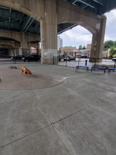 Triborough Bridge Playground C Dog Run - Astoria, NY