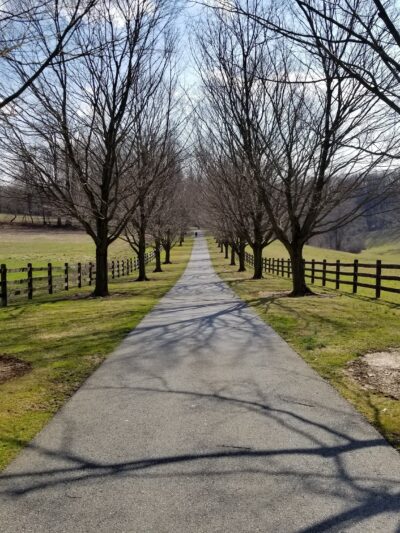 Wolf's Hollow County Park - Atglen, PA
