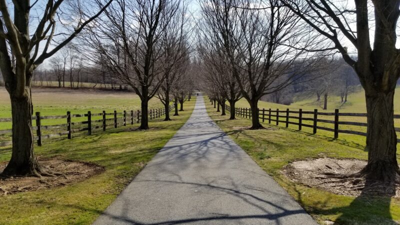 Wolf's Hollow County Park - Atglen, PA