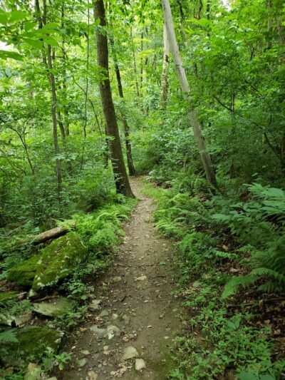 Wolf's Hollow County Park - Atglen, PA