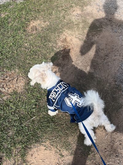 Cain Park - Athens, TX