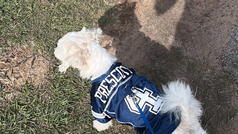 Cain Park - Athens, TX