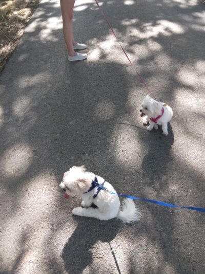 Cain Park - Athens, TX