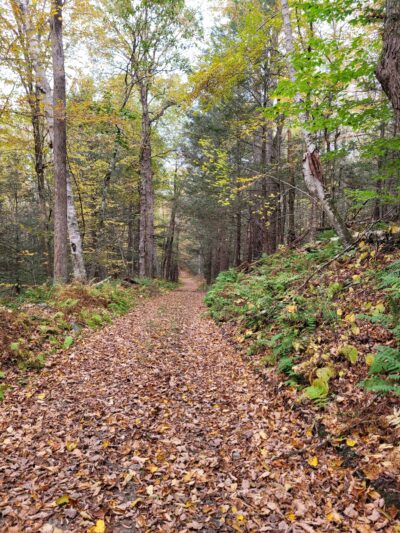 Bearsden Conservation Area (parking lot) - Athol, MA
