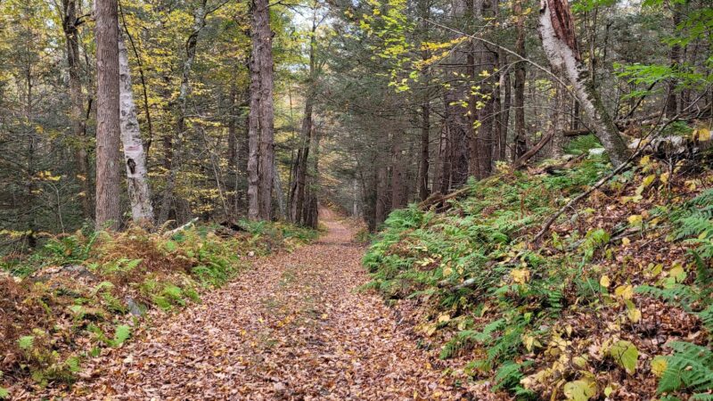 Bearsden Conservation Area (parking lot) - Athol, MA