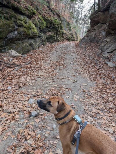 Bearsden Conservation Area (parking lot) - Athol, MA
