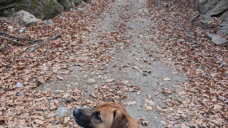Bearsden Conservation Area (parking lot) - Athol, MA