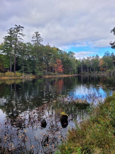 Bearsden Conservation Area (parking lot) - Athol, MA