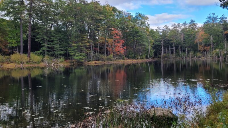 Bearsden Conservation Area (parking lot) - Athol, MA