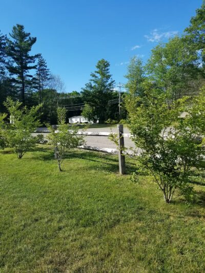 Collins Park - Atkinson, NH