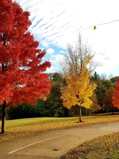 Freedom Park - Atlanta, GA