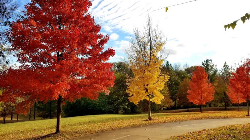 Freedom Park - Atlanta, GA