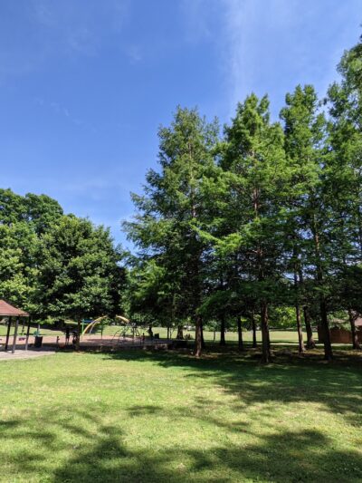 Adair Park I - Atlanta, GA