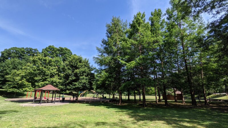 Adair Park I - Atlanta, GA