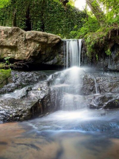 Cascade Springs Nature Preserve - Atlanta, GA