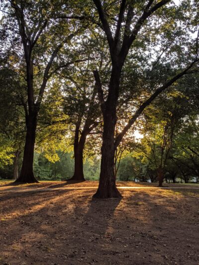 John C Howell Park - Atlanta, GA