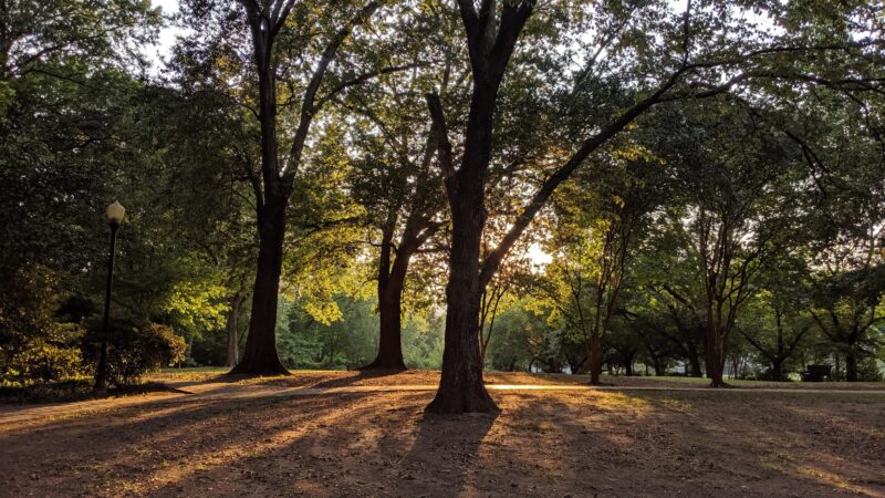 John C Howell Park - Atlanta, GA