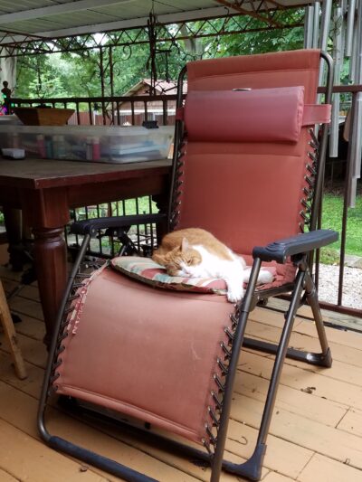 Ormewood Dog Park - Atlanta, GA