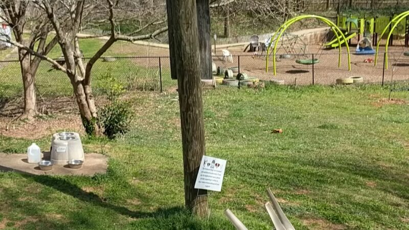 Ormewood Dog Yard - Atlanta, GA