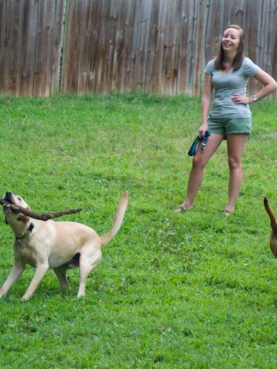 Ormewood Dog Yard - Atlanta, GA