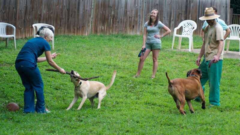 Ormewood Dog Yard - Atlanta, GA