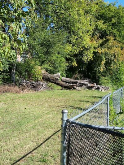 Railside Dog Park - Atlanta, GA