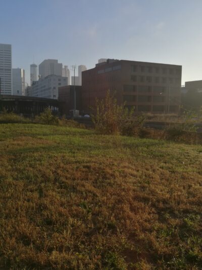 Railside Dog Park - Atlanta, GA