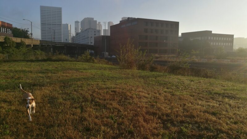 Railside Dog Park - Atlanta, GA