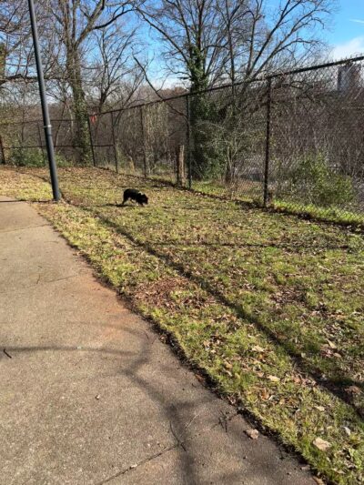 Renaissance Park - Atlanta, GA