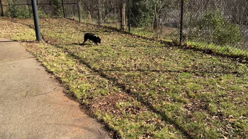 Renaissance Park - Atlanta, GA