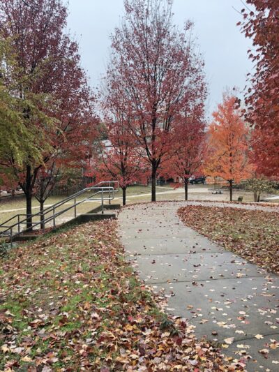 Tanyard Creek Greenspace - Atlanta, GA
