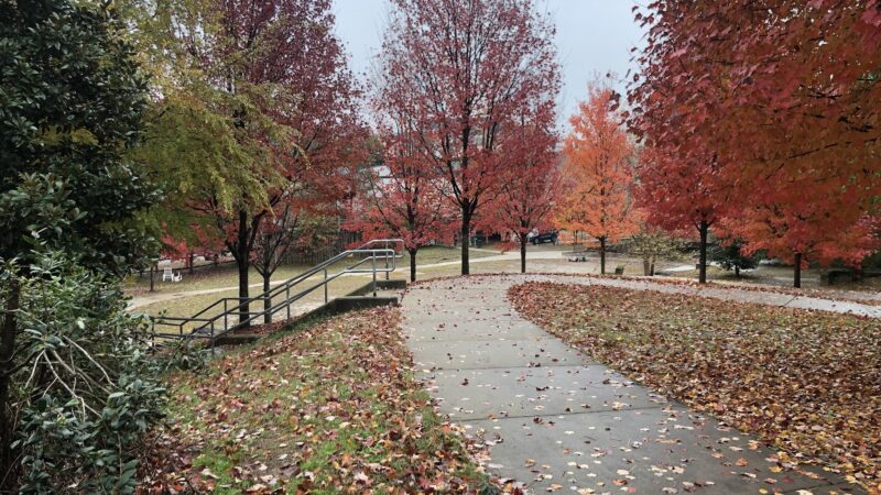 Tanyard Creek Greenspace - Atlanta, GA