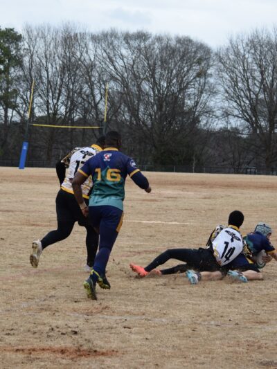 Walker Park - Atlanta, GA