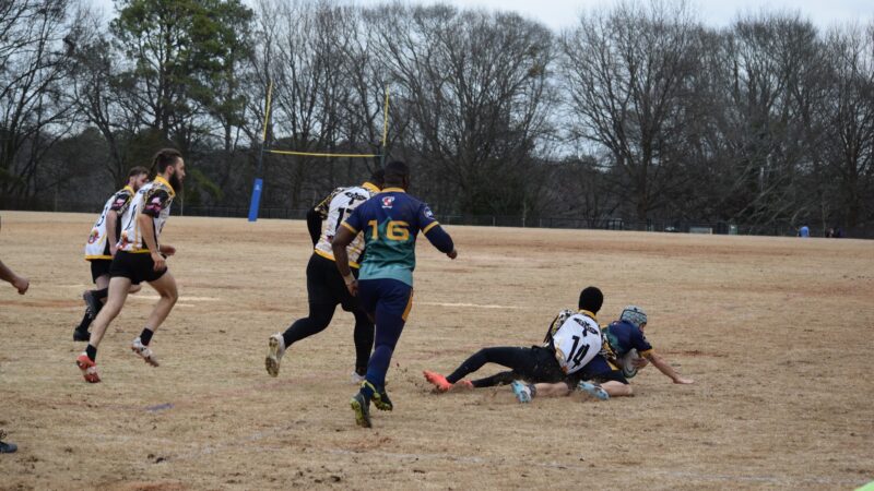 Walker Park - Atlanta, GA