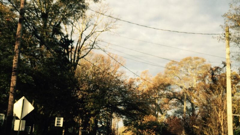 Walker Park - Atlanta, GA