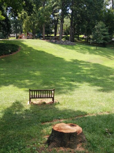 Winn Park - Atlanta, GA