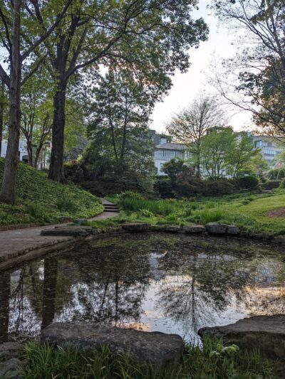 Winn Park - Atlanta, GA