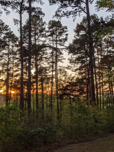 Atlanta State Park - Atlanta, TX