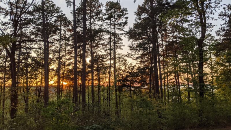 Atlanta State Park - Atlanta, TX
