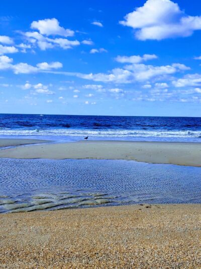 Circle Regional Beach Access - Atlantic Beach, NC